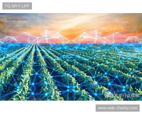 区块链技术应用于体育版权保护，构建确权追溯新机制