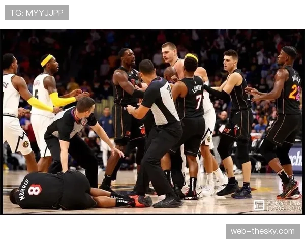 南特主帅哈利霍季奇因辱骂裁判被禁赛四场